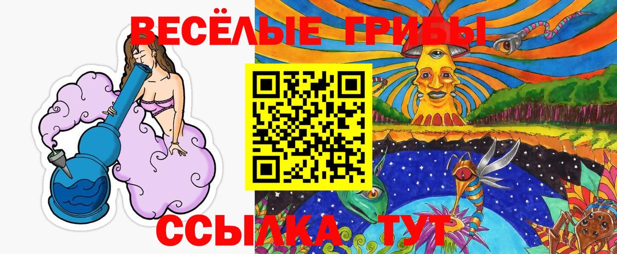 Псилоцибиновые грибы Psilocybine cubensis Курчалой